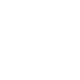 13-veteriner-ico